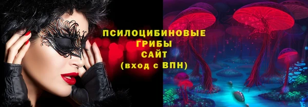 крисы Алзамай