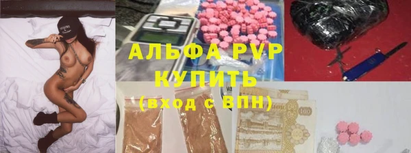 крисы Алзамай