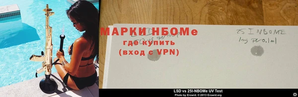 крисы Алзамай