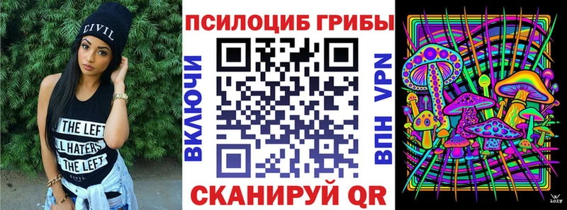 Галлюциногенные грибы Psilocybine cubensis ОМГ ОМГ ONION Алзамай